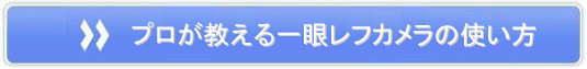 一眼レフカメラ上達講座DVD&解説テキストの公式ページへ!